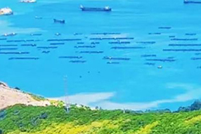 【2023年4月】惠州盐洲岛纯玩2天游  行摄小众海岛盐洲
