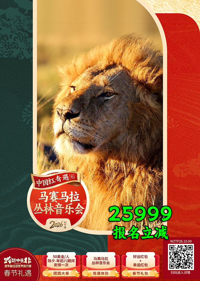 【2月肯尼亚团期】树顶回归  肯尼亚10天《报名立减详询客服》>