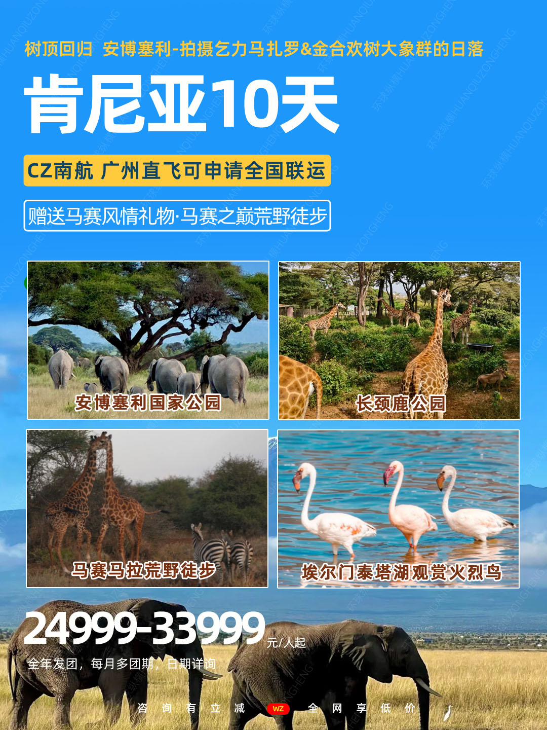 树顶回归肯尼亚3.jpg