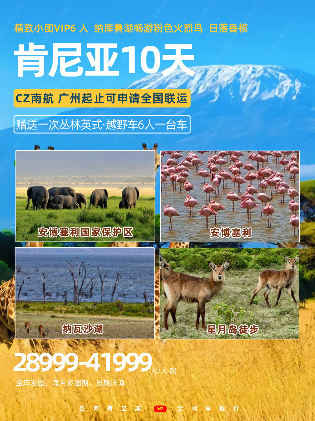 肯尼亚火烈鸟3.jpg